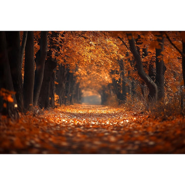 Autumn Woods canvas